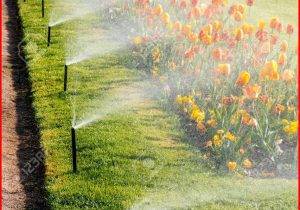 Watering is a necessity in gardens but water is a resource whose costs are constantly rising.
It is therefore essential to better manage the water used in watering.
DomoticExperts has therefore developed the first intelligent watering module using real-time weather data to control micro-watering.